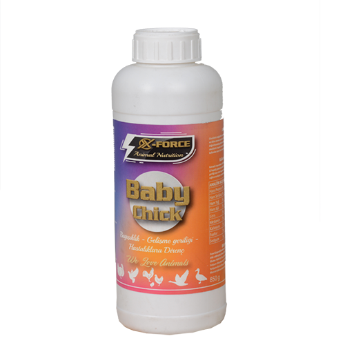 xforce.com.tr - baby diet